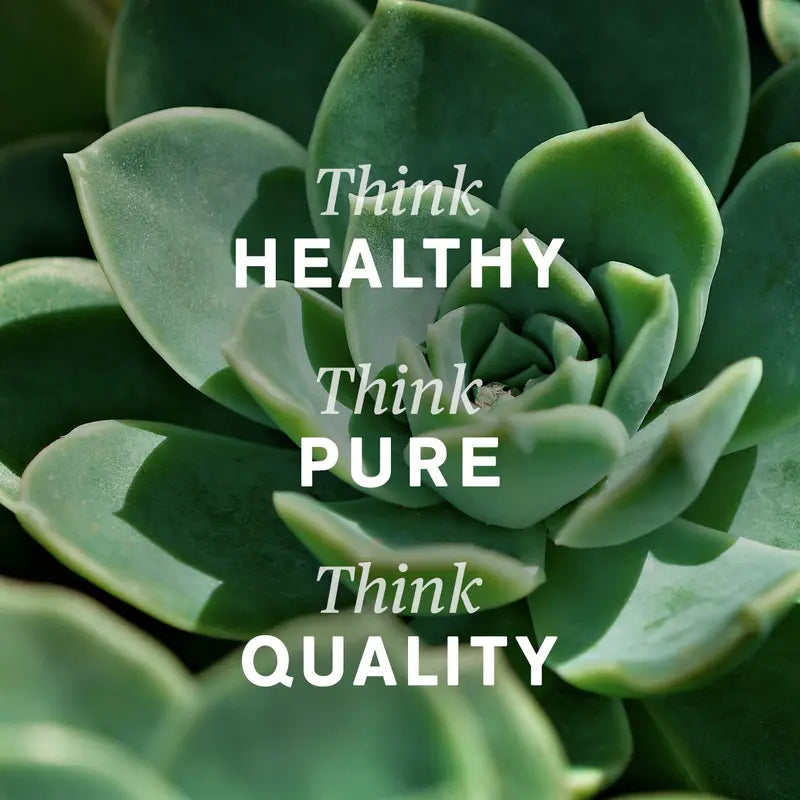 Pure Detox. Total Body Flow