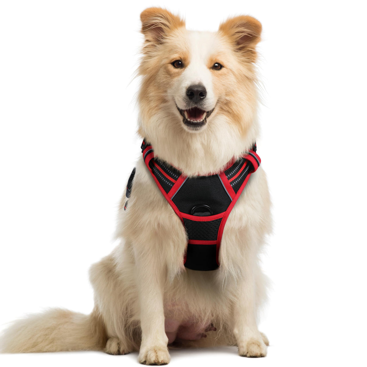 A medium-to-large fluffy dog sits upright wearing a red and black no-pull dog harness. The harness features a padded black chest panel, red trim, reflective stitching, and a visible front D-ring clip at the chest.