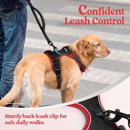 Golden retriever wearing a black and red no-pull dog harness with reflective strips, attached to a leash held by a person in jeans. Text reads 'Confident Leash Control' and 'Sturdy back leash clip for safe daily walks.', 2+ more images are available