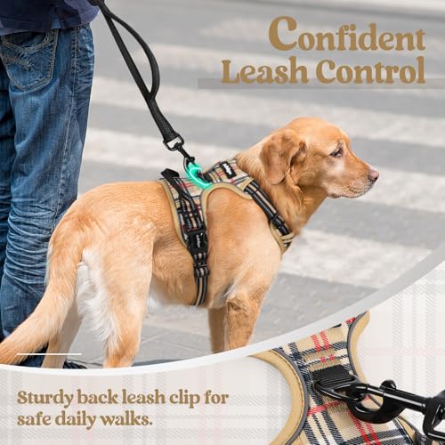 Golden retriever wearing a beige plaid dog harness with a glowing green leash clip attachment, being walked on a leash by a person in jeans. Text reads 'Confident Leash Control' and 'Sturdy back leash clip for safe daily walks.'