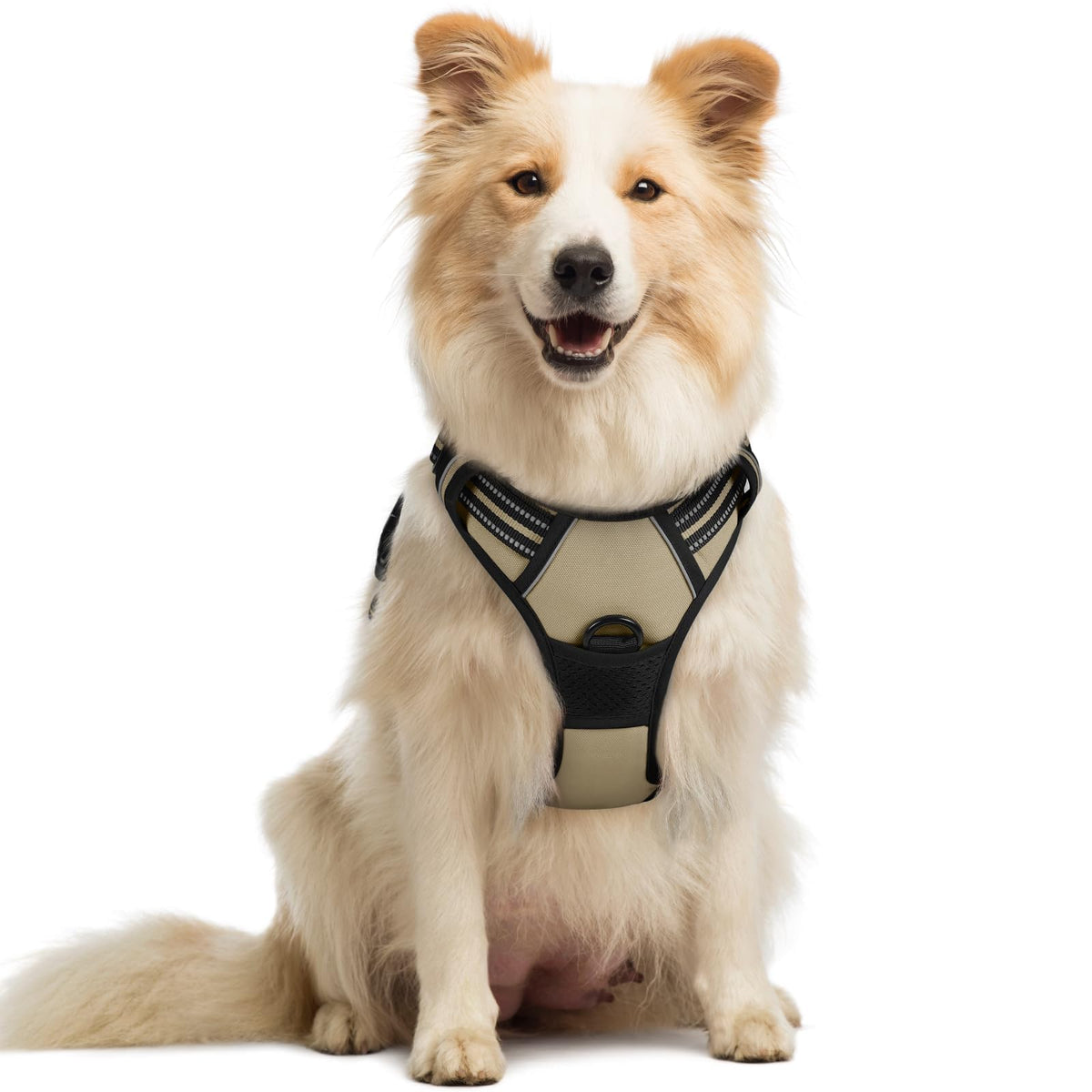A fluffy cream and tan medium-sized dog sits upright wearing a beige and black no-pull dog harness. The harness features a front D-ring clip, reflective strips, padded chest panel, and a top handle.