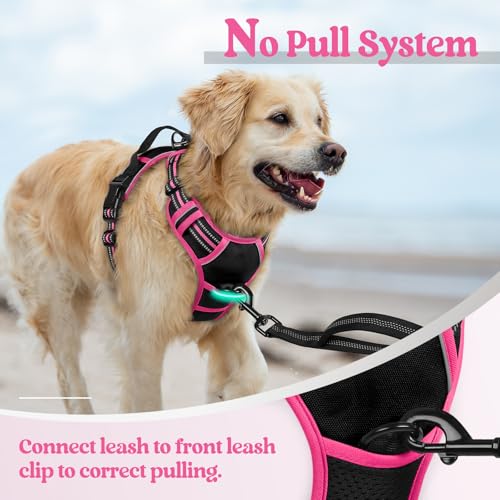 Golden retriever wearing a black and hot pink no-pull dog harness with reflective trim, shown outdoors. A close-up inset highlights the front leash clip. Text reads 'No Pull System' and 'Connect leash to front leash clip to correct pulling.'