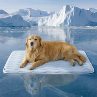 Thin Mat-Blue