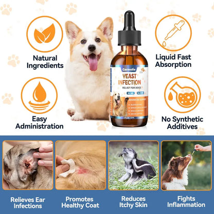 [🎁 BUY 1 GET 1 FREE] Fast-Acting Natural Yeast Infection & Itching Relief Drops for Dogs