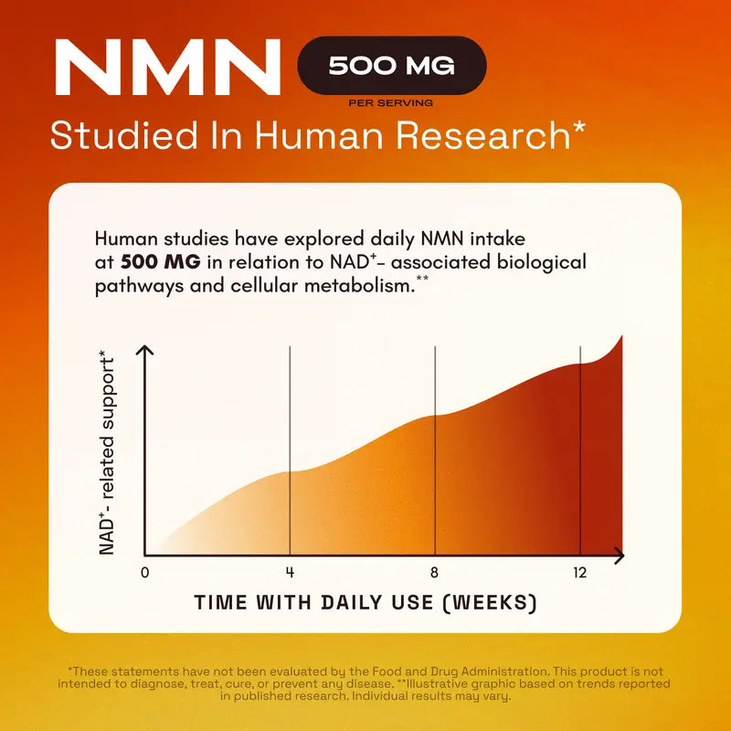 Recharge Your Cells. Reverse Your Age. 1000mg Pure NMN.