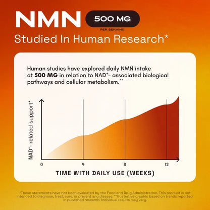 Recharge Your Cells. Reverse Your Age. 1000mg Pure NMN.