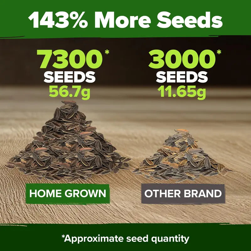 Premium Non-GMO Zinnia Seeds for Vibrant Home Garden Blooms