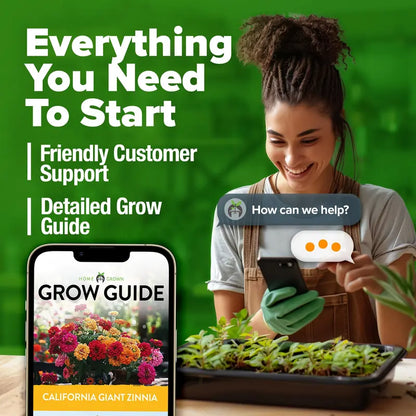 Premium Non-GMO Zinnia Seeds for Vibrant Home Garden Blooms