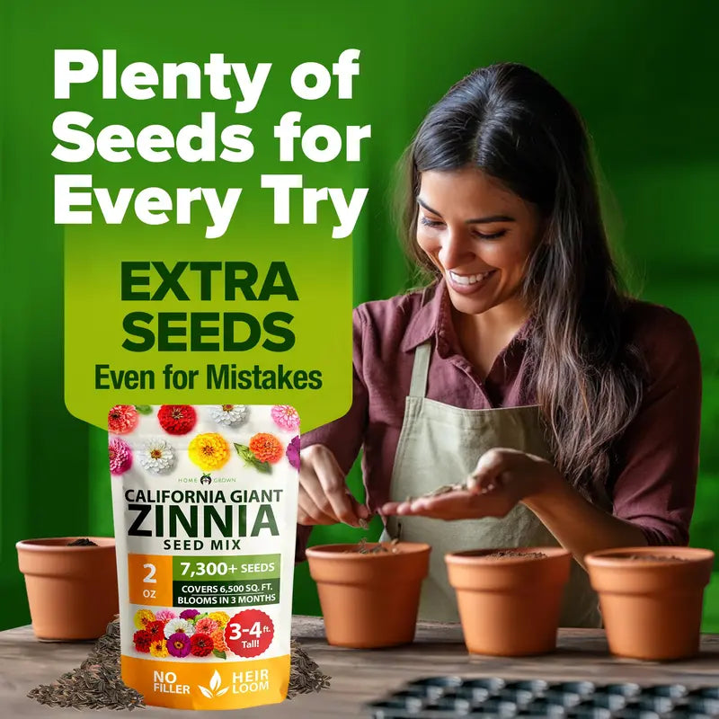 Premium Non-GMO Zinnia Seeds for Vibrant Home Garden Blooms