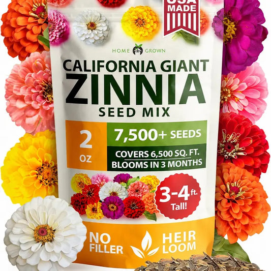 Premium Non-GMO Zinnia Seeds for Vibrant Home Garden Blooms