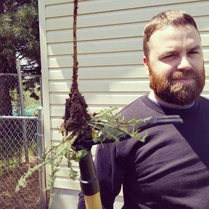 Weed removal in garden soil