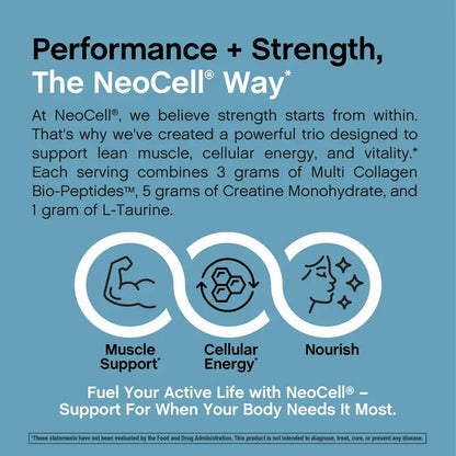 Fuel lean muscle and radiant glow with all-in-one creatine collagen. | Buy 1 Get 1 Free