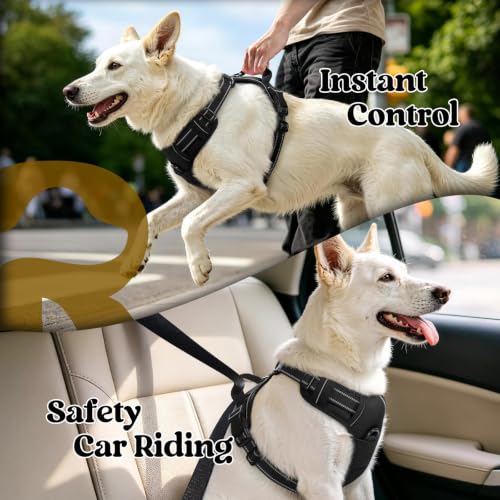 rabbitgoo Dog Harness, No Pull Medium Sized with 2 Leash Clips, Pet Vest | No Choke with Handle, Adjustable Soft Padded, Reflective, Easy Control for Walking, Black, Medium, 4+ more images are available