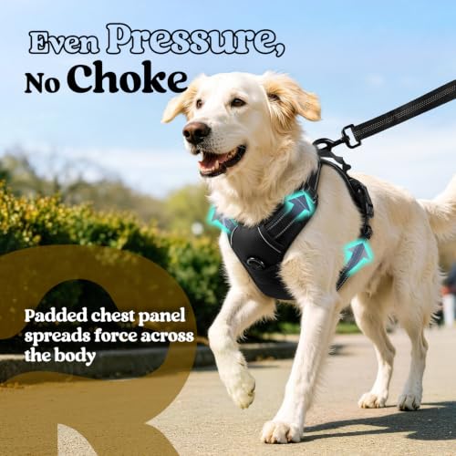 rabbitgoo Dog Harness, No Pull Medium Sized with 2 Leash Clips, Pet Vest | No Choke with Handle, Adjustable Soft Padded, Reflective, Easy Control for Walking, Black, Medium