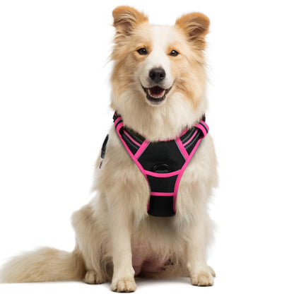 A fluffy cream-colored dog sits upright wearing a black and hot pink no-pull dog harness. The harness features a Y-shaped chest panel, reflective trim, and a front D-ring leash attachment point.