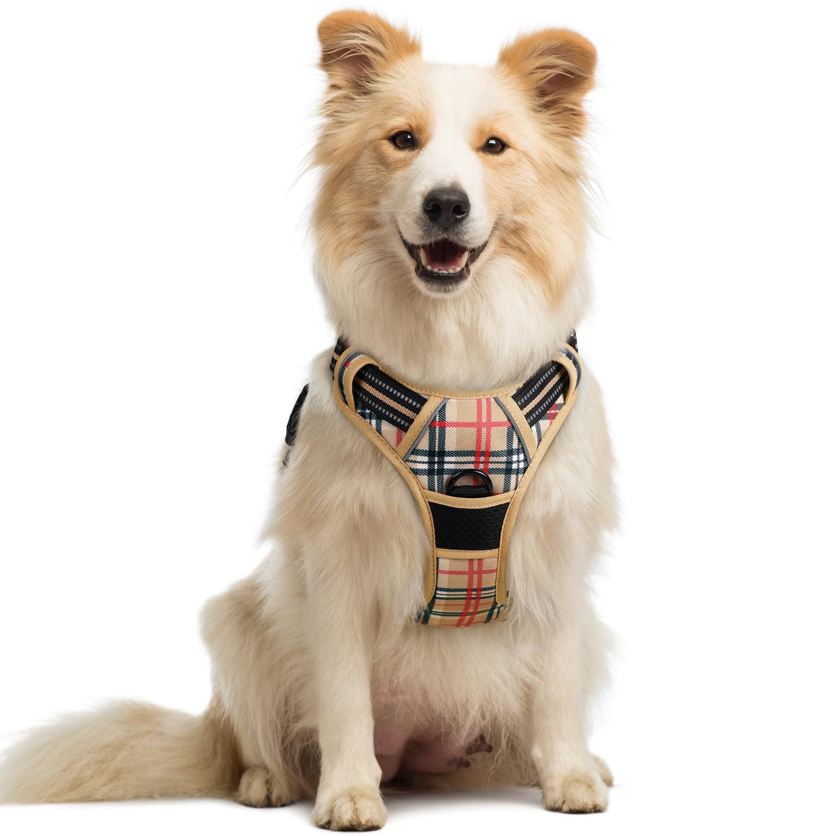 A fluffy medium-sized dog sits upright wearing a beige plaid vest harness with red, navy, and green tartan pattern. The harness features a front D-ring clip, black trim, and reflective stitching along the straps.