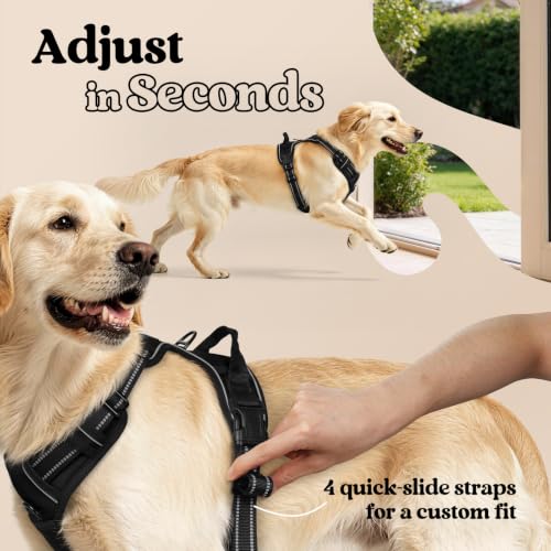 rabbitgoo Dog Harness, No Pull Medium Sized with 2 Leash Clips, Pet Vest | No Choke with Handle, Adjustable Soft Padded, Reflective, Easy Control for Walking, Black, Medium