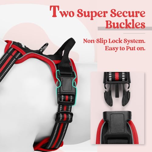 Dog harness feature callout showing a black and red buckle with teal highlight and a close-up inset of the plastic quick-release clasp. Text reads 'Two Super Secure Buckles - Non-Slip Lock System. Easy to Put on.'