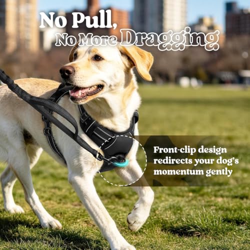 rabbitgoo Dog Harness, No Pull Medium Sized with 2 Leash Clips, Pet Vest | No Choke with Handle, Adjustable Soft Padded, Reflective, Easy Control for Walking, Black, Medium