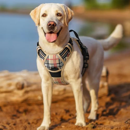 Yellow Labrador wearing a beige plaid dog harness with black and red tartan pattern, black straps, and a front chest attachment point. Dog stands outdoors on sandy ground near water, tongue out., 2+ more images are available