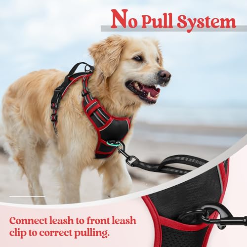 Golden retriever wearing a red and black no-pull dog harness at a beach. The harness features a front leash clip, handle, and reflective strips. Text reads 'No Pull System' and 'Connect leash to front leash clip to correct pulling.'