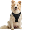 rabbitgoo Reflective No-Pull Dog Harness