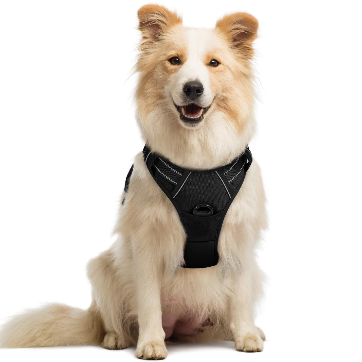 A fluffy cream and tan dog sits upright wearing a black no-pull dog harness. The vest-style harness features reflective stitching strips across the chest panel and a front D-ring clip, shown on a white background.