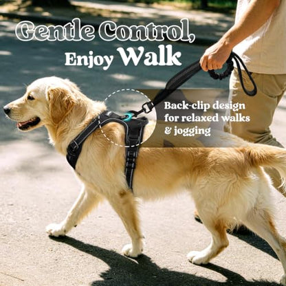 rabbitgoo Dog Harness, No Pull Medium Sized with 2 Leash Clips, Pet Vest | No Choke with Handle, Adjustable Soft Padded, Reflective, Easy Control for Walking, Black, Medium