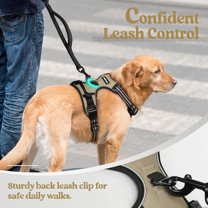Golden retriever wearing a beige dog harness with black straps, reflective strips, and a glowing green LED clip on the back. A person in jeans holds a black leash. Text reads 'Confident Leash Control' and 'Sturdy back leash clip for safe daily walks.'