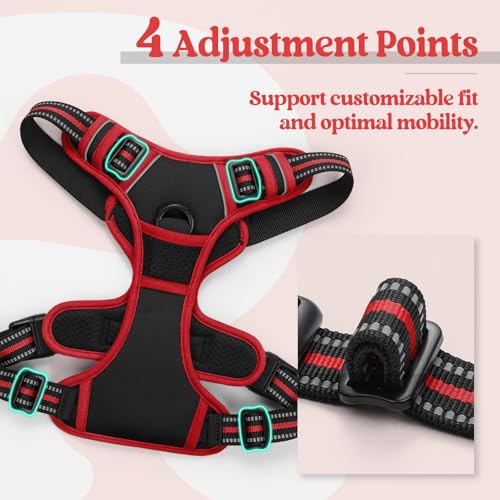 Red and black dog harness shown from front angle with 4 teal adjustment buckles highlighted. Close-up inset shows reflective striped strap with black buckle. Text reads '4 Adjustment Points - Support customizable fit and optimal mobility.'