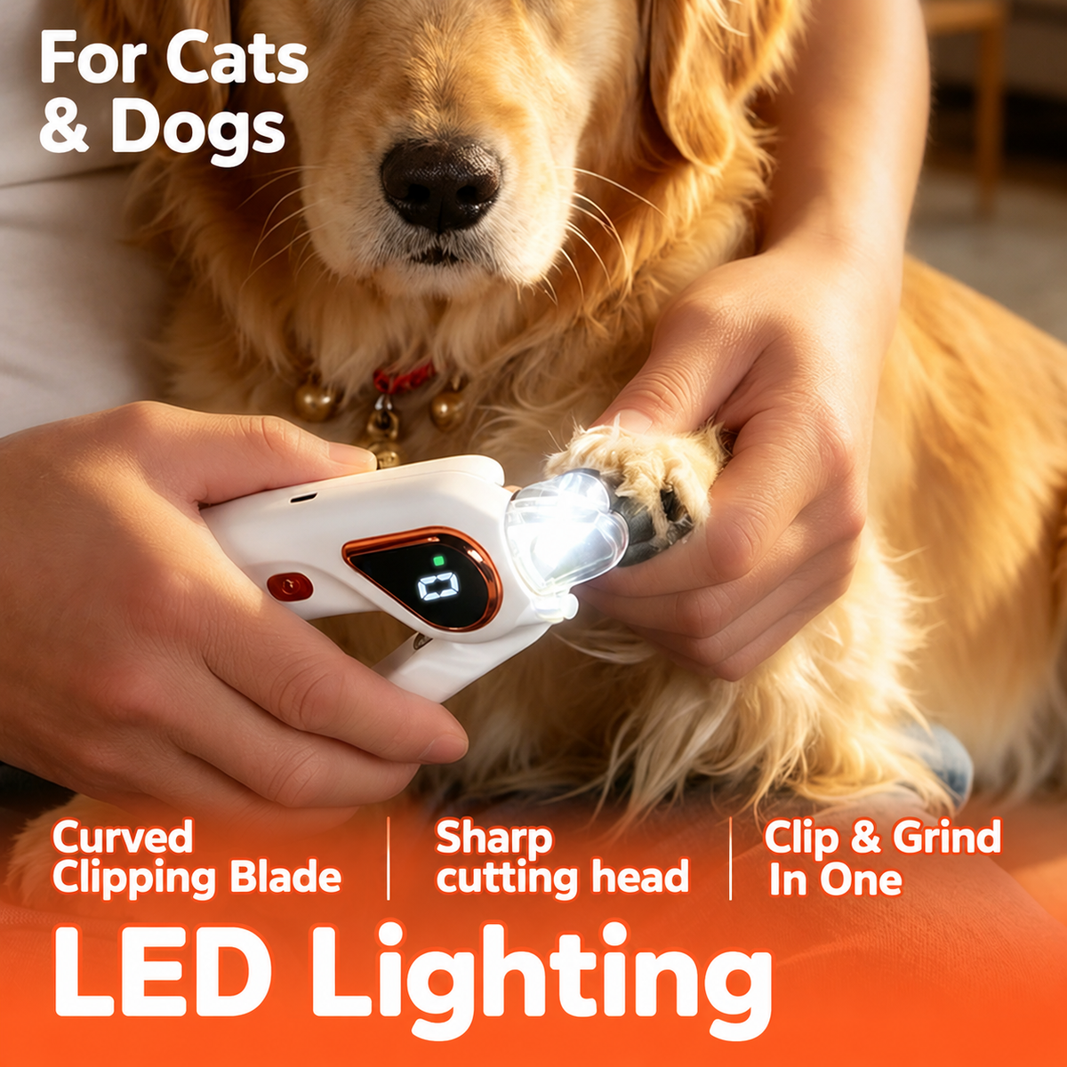 Pet nail clipping with an illuminated cutting area
