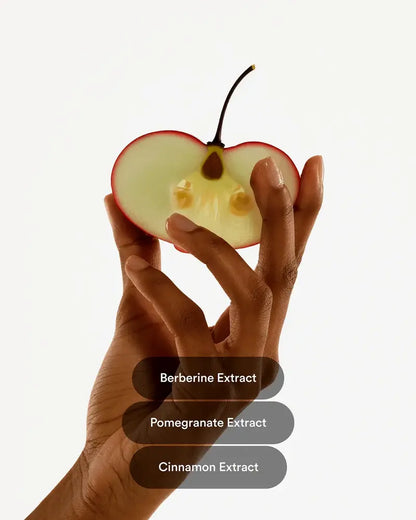 Original berberine, pomegranate and cinnamon ingredient illustration