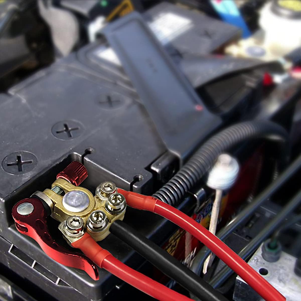 Moly Magnolia 2PCS Car Battery Terminal Connectors with Fiber Washer — source gallery