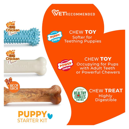 Nylabone New Puppy Starter Kit, Puppy Teething Toys, 3 Pack, Blue — source gallery photo