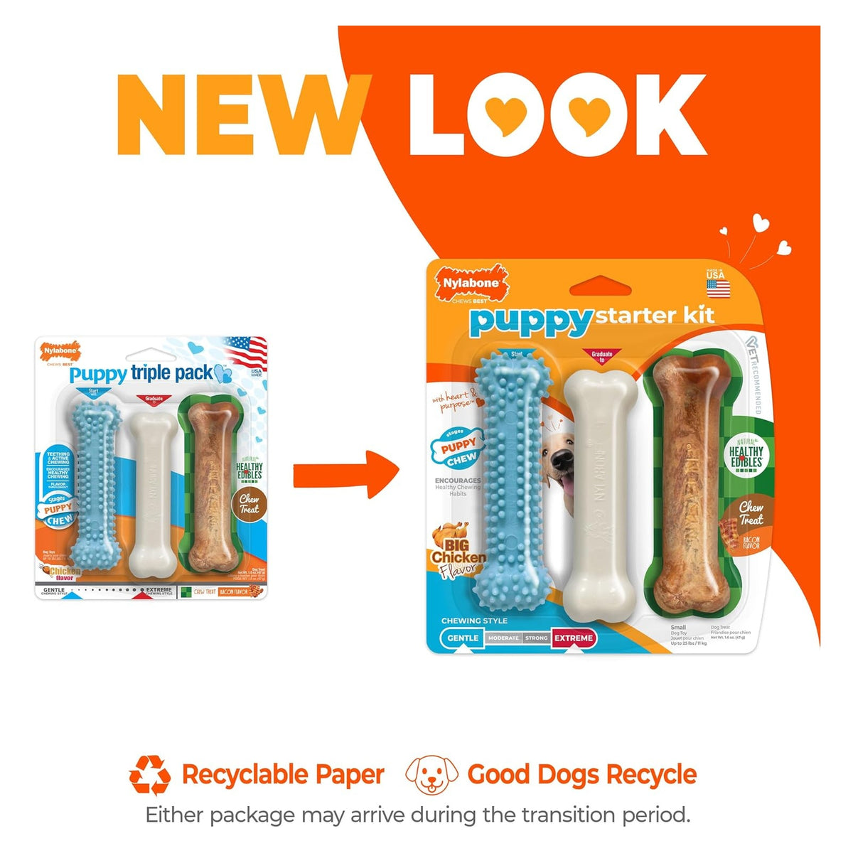 Nylabone New Puppy Starter Kit, Puppy Teething Toys, 3 Pack, Blue — source gallery photo