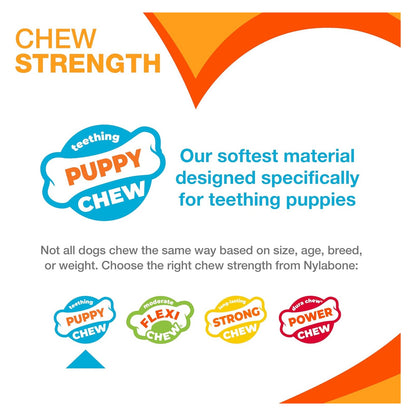 Nylabone New Puppy Starter Kit, Puppy Teething Toys, 3 Pack, Blue — source gallery photo